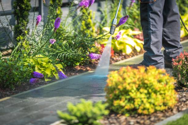 Best Restaurant Pressure Washing  in Middleburg, FL