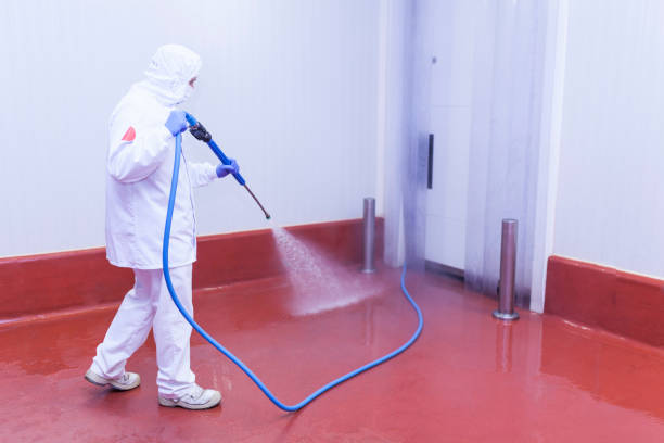 Best Soft Washing  in Middleburg, FL